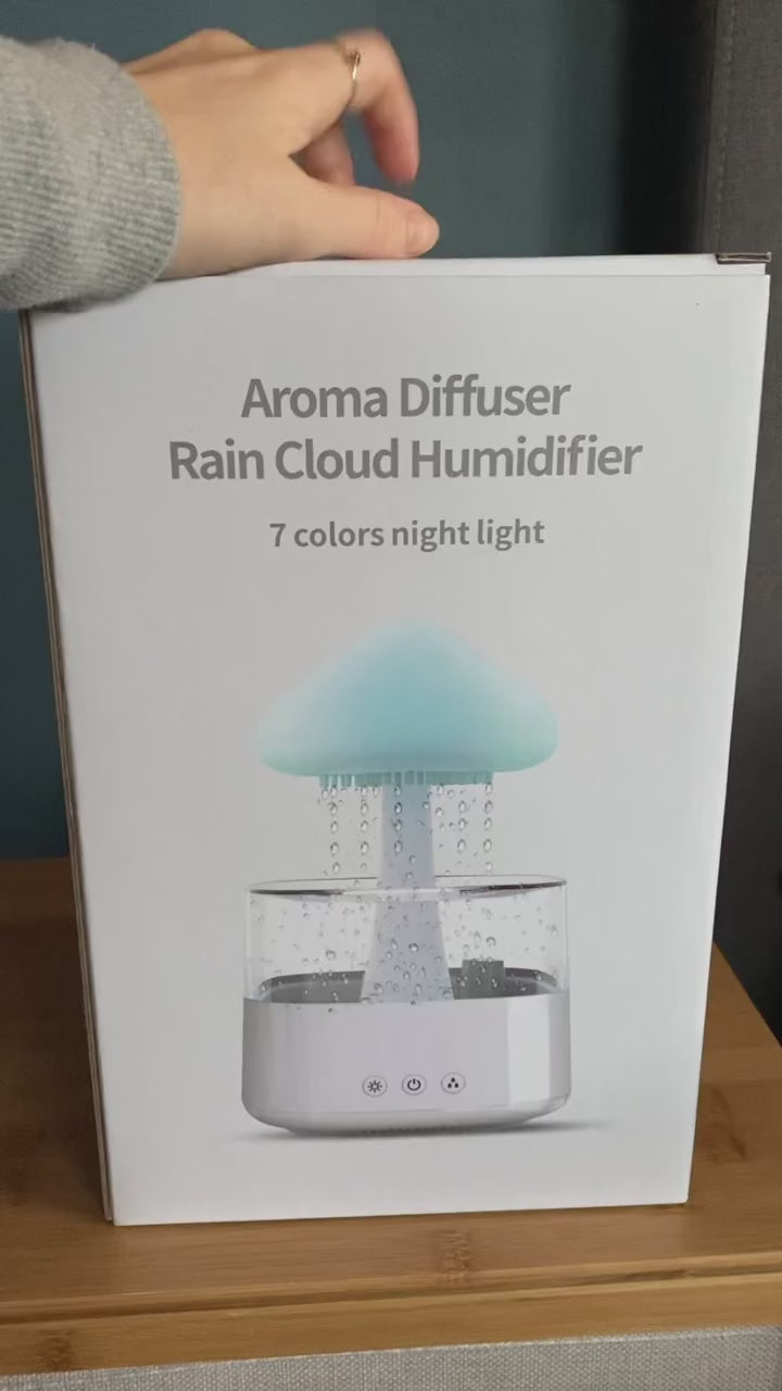 Load video: Rain-humidifier-mushroom nema-exp